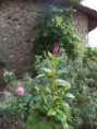 /album/fotos-da-gruta-dos-milagres-atualmente/dsc00540-jpg/
