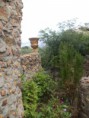 /album/fotos-da-gruta-dos-milagres-atualmente/dsc00586-jpg/