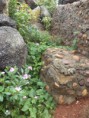 /album/fotos-da-gruta-dos-milagres-atualmente/dsc00598-jpg/