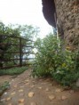 /album/fotos-da-gruta-dos-milagres-atualmente/dsc00610-jpg/