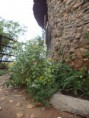 /album/fotos-da-gruta-dos-milagres-atualmente/dsc00612-jpg/