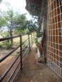 /album/fotos-da-gruta-dos-milagres-atualmente/dsc00615-jpg/